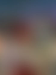 Herrera con buenos resultados