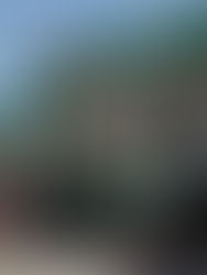 Los mexicanos desconfían de las petroleras