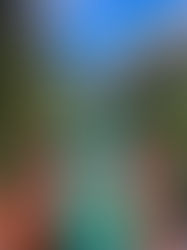 Cañón del Sumidero: alianza por su conservación y futuro sustentable