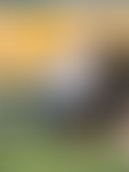 Herrera ocupado en mal arranque