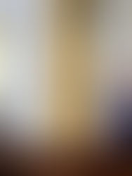 Biden se despide de los estadounidenses