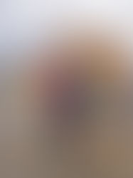 El vuelo de una abeja y compañía