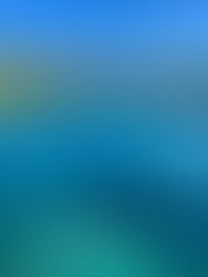 Chucumaltik es el cenote escondido que maravilla al ecoturismo en Chiapas