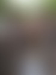 Crisis del gusano barrenador presiona a ganaderos que anhelan reapertura de EUA