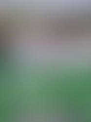 Miles de chiapanecos reafirman que la 4T debe continuar: Llaven Abarca