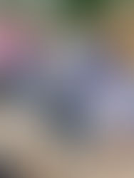 Suman 30 mil 639 muertes y 256 mil 848 casos positivos de Covid-19 en el país