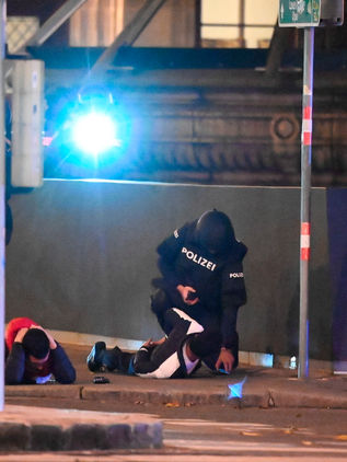 Dos muertos y quince heridos en atentado en Viena 