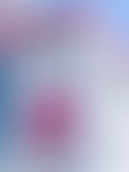 Fueron 37 alcaldes en Chiapas los que buscaron la reelección 