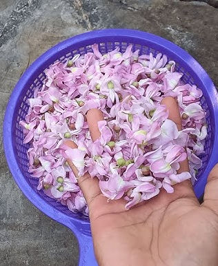 Elemental cocer bien la flor de cuchunuc antes de su consumo: especialista