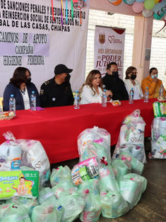 Sociedad civil se suma al Voluntariado del Poder Judicial 