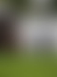 Detienen a 13 policías por desaparición forzada en Veracruz