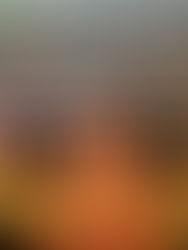 Elena Torres Villanueva, continúa rompiendo el silencio