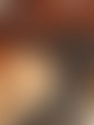 En lo que va de la Legislatura, Senado ya cambió cinco veces la Constitución