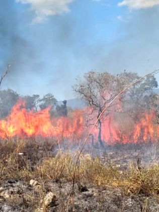 Chiapas logra hazaña ambiental en reducción de incendios