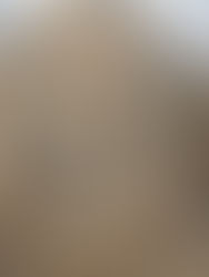 Robo o terrorismo: la Unesco muestra la cara oculta de la venta ilegal de arte