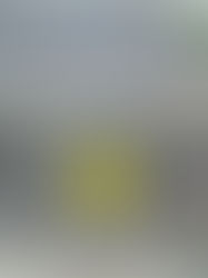 Póliza de renta le da certeza a arrendatarios