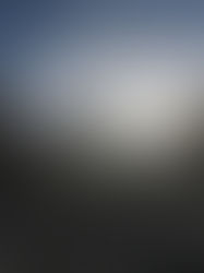 Israel: Sólo la destrucción de Hamás pondrá fin a la guerra en Gaza