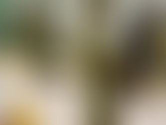 Detienen a hombre ligado al Cartel de Sinaloa que es requerido por el FBI