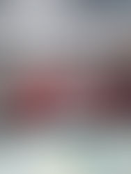 Nombra PRI a regidoras como enlaces de la Asociación Nacional de Regidores