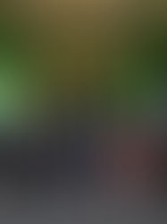 Sheinbaum presenta el Plan México a empresarios del Foro Económico Mundial