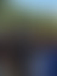 Iglesias cristianas piden paz en Chiapas