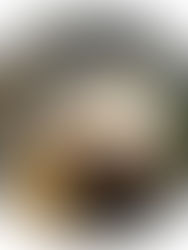 La Columna: Una etapa diferente