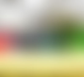 Incumplen protocolos en Caña Hueca