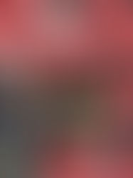 Pumas sigue a puerta cerrada