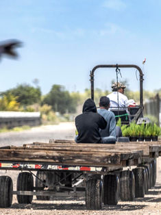Trump reconoce que los trabajadores migrantes que expulsa son difíciles de reemplazar