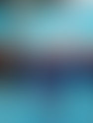 Nadadores disputan el “Gómez Pananá”