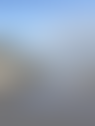 Insólito depredador marino aterroriza al tiburón blanco e inquieta a los científicos