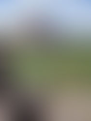 Anuncian nuevas rutas aéreas en región maya de México, Guatemala y Honduras