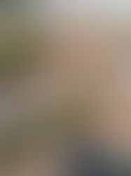 Ante lluvias, priorizan infraestructura hidráulica 