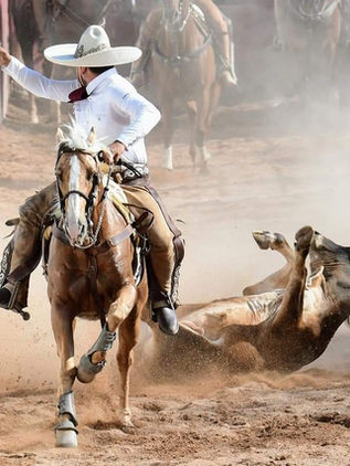 Son los campeones del 2021