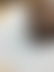 Población indígena registra la mayor tasa de analfabetismo en México