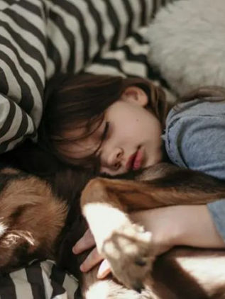 ¿Sueñan igual los perros y los humanos?