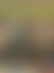 Celebro la voluntad de establecer esta nueva ruta Guatemala-Tuxtla Gutiérrez”,  Flor Esponda