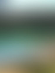 Filtraciones de químicos continúan contaminando Parque Nacional Lagunas de Montebello