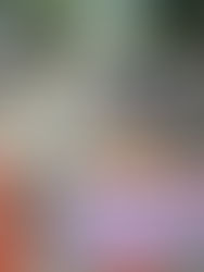 Inician paro trabajadores del PJF