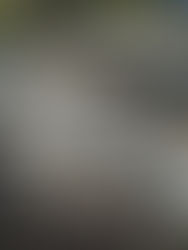 Miles de atrapados y más de 2,5 millones sin energía, Ian aplasta Florida