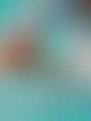 Fueron pura velocidad