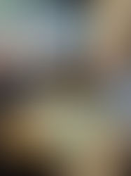 Daniel y Darko, los másters del skate en Chiapas