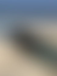 Decenas de migrantes burlan muro y cruzan a EU