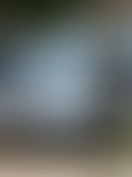 Trece muertos deja enfrentamiento entre agentes y criminales en Sinaloa