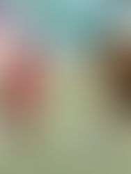 Se define la Liguilla