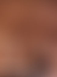 Descubren una nueva especie de tiranosaurio en México