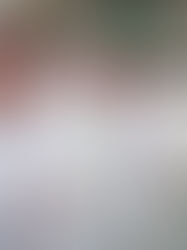 Obispos de Nicaragua no estarán en diálogo con opositores