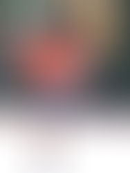 54 años festejan en el CD Tuxtla