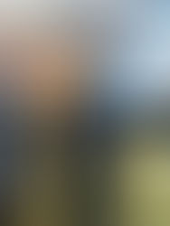 China mintió sobre el avance real de COVID-19