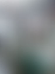 Tabasco en "alerta máxima" tras desbordamiento del río Usumacinta